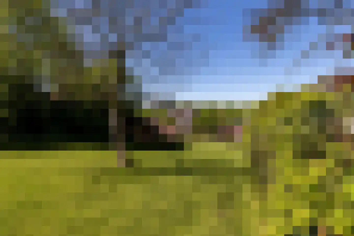 Hopelerweg 161 Landgraaf thumbnail 32
