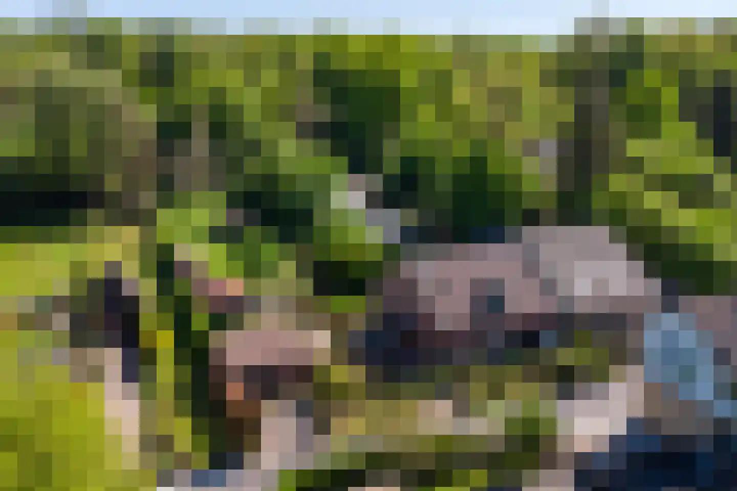 Hopelerweg 161 Landgraaf thumbnail 35