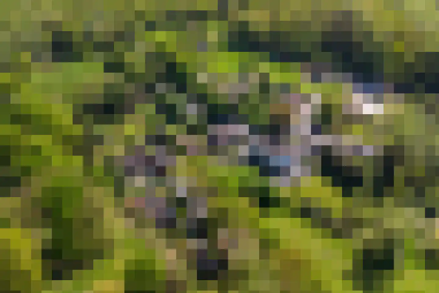Hopelerweg 161 Landgraaf thumbnail 36
