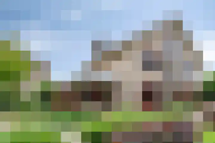 Hopgaarde 5 Gouda thumbnail 19
