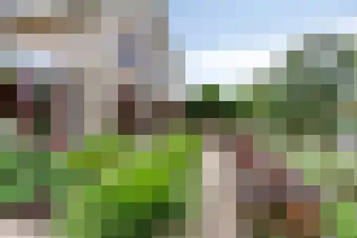 Hopgaarde 5 Gouda thumbnail 20