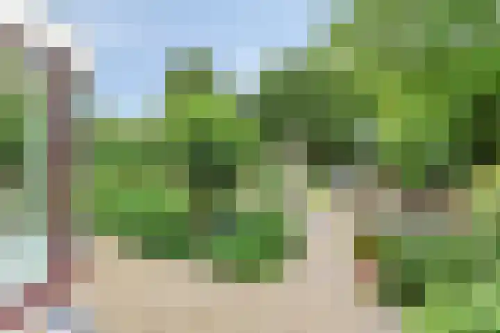 Hopgaarde 5 Gouda thumbnail 21