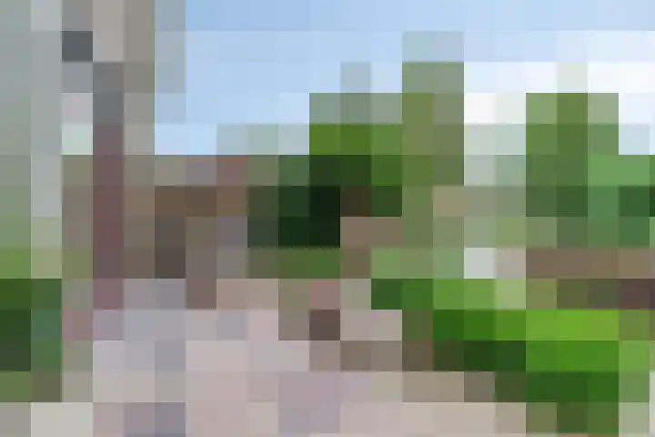 Hopgaarde 5 Gouda thumbnail 24