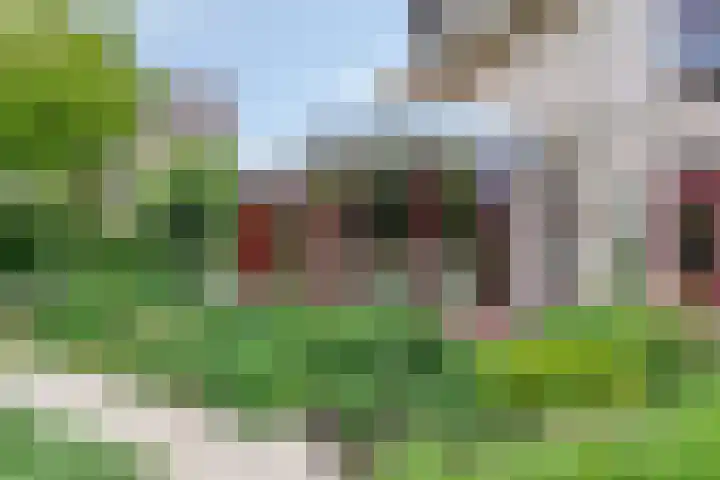 Hopgaarde 5 Gouda thumbnail 25