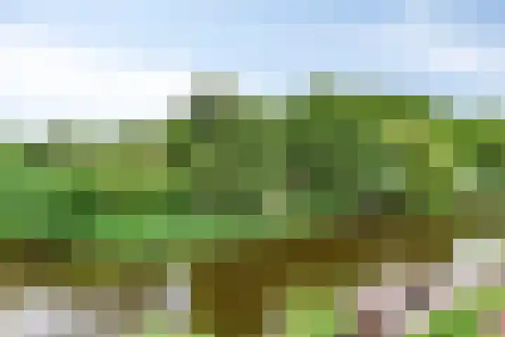 Hopgaarde 5 Gouda thumbnail 27