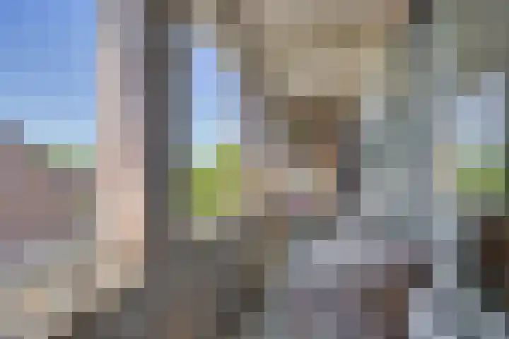 Hopgaarde 5 Gouda thumbnail 34