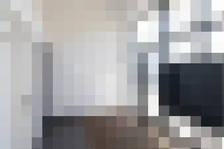Hopgaarde 5 Gouda thumbnail 39