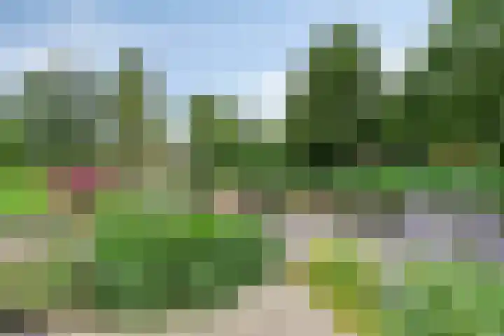 Hopgaarde 5 Gouda thumbnail 5