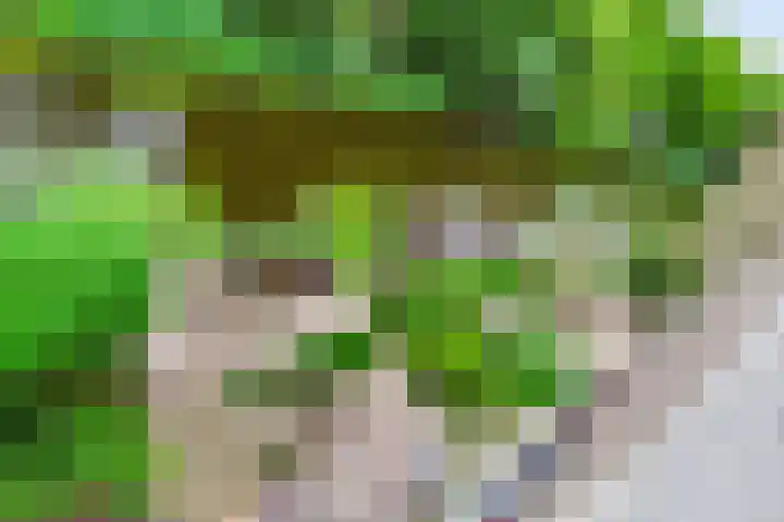 Hopgaarde 5 Gouda thumbnail 50
