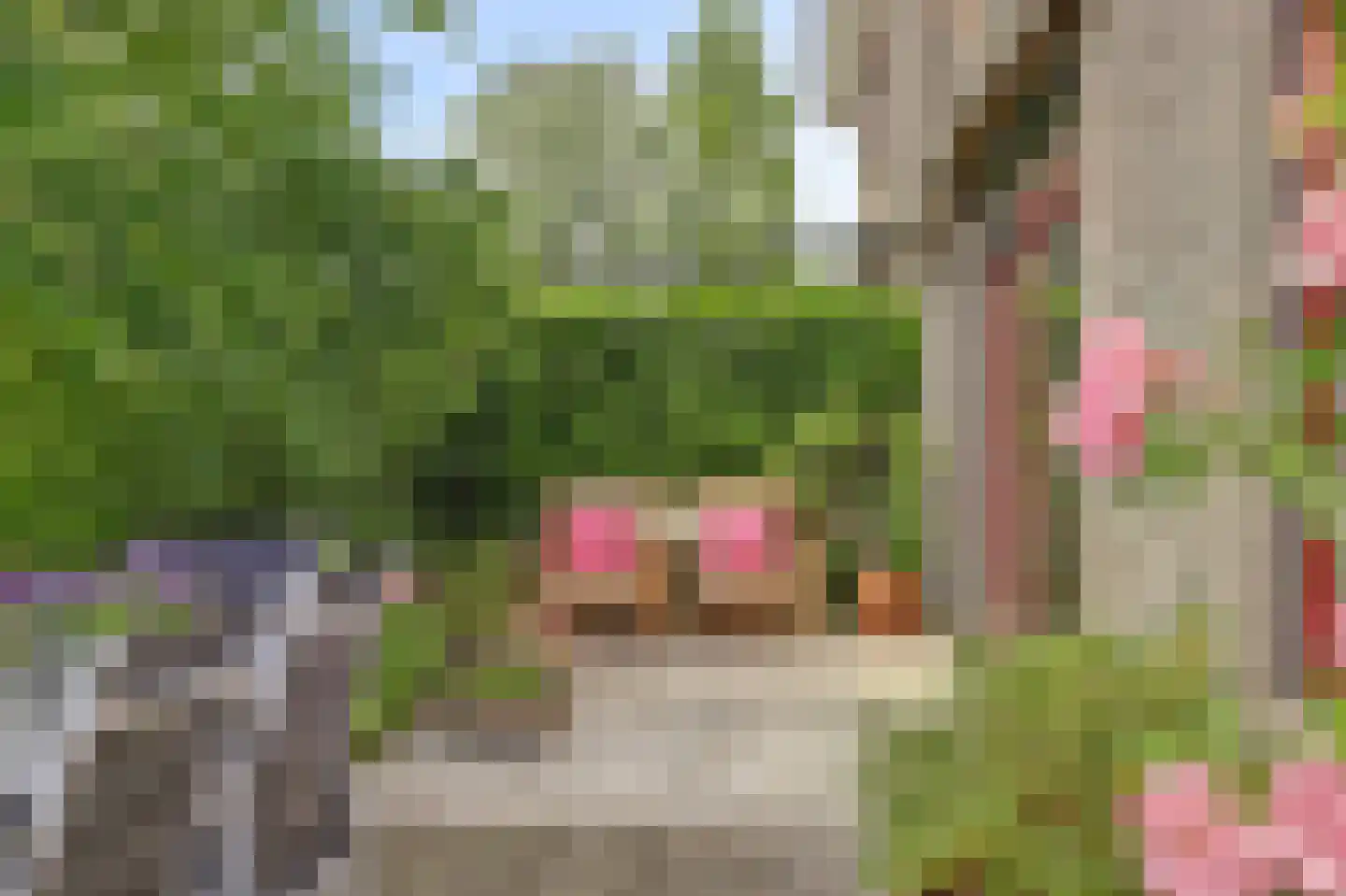 Hopgaarde 8 Gouda thumbnail 43