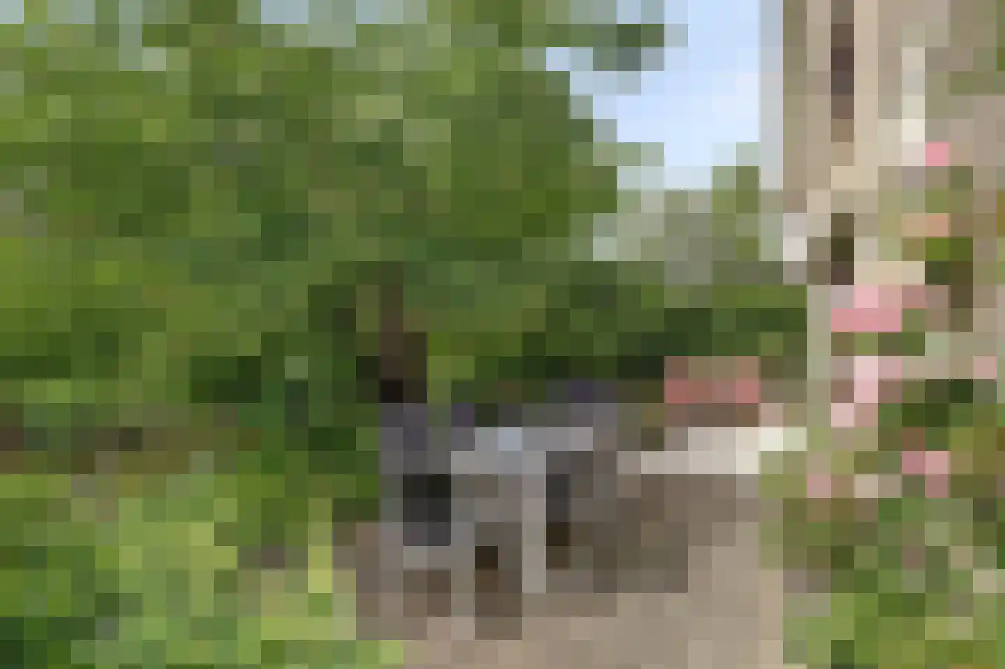 Hopgaarde 8 Gouda thumbnail 44