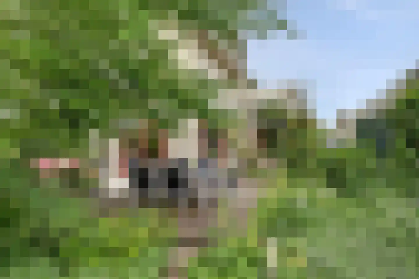 Hopgaarde 8 Gouda thumbnail 46