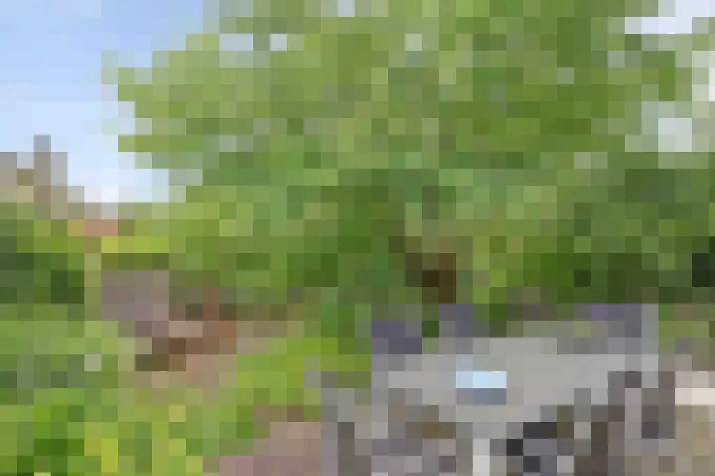 Hopgaarde 8 Gouda thumbnail 47