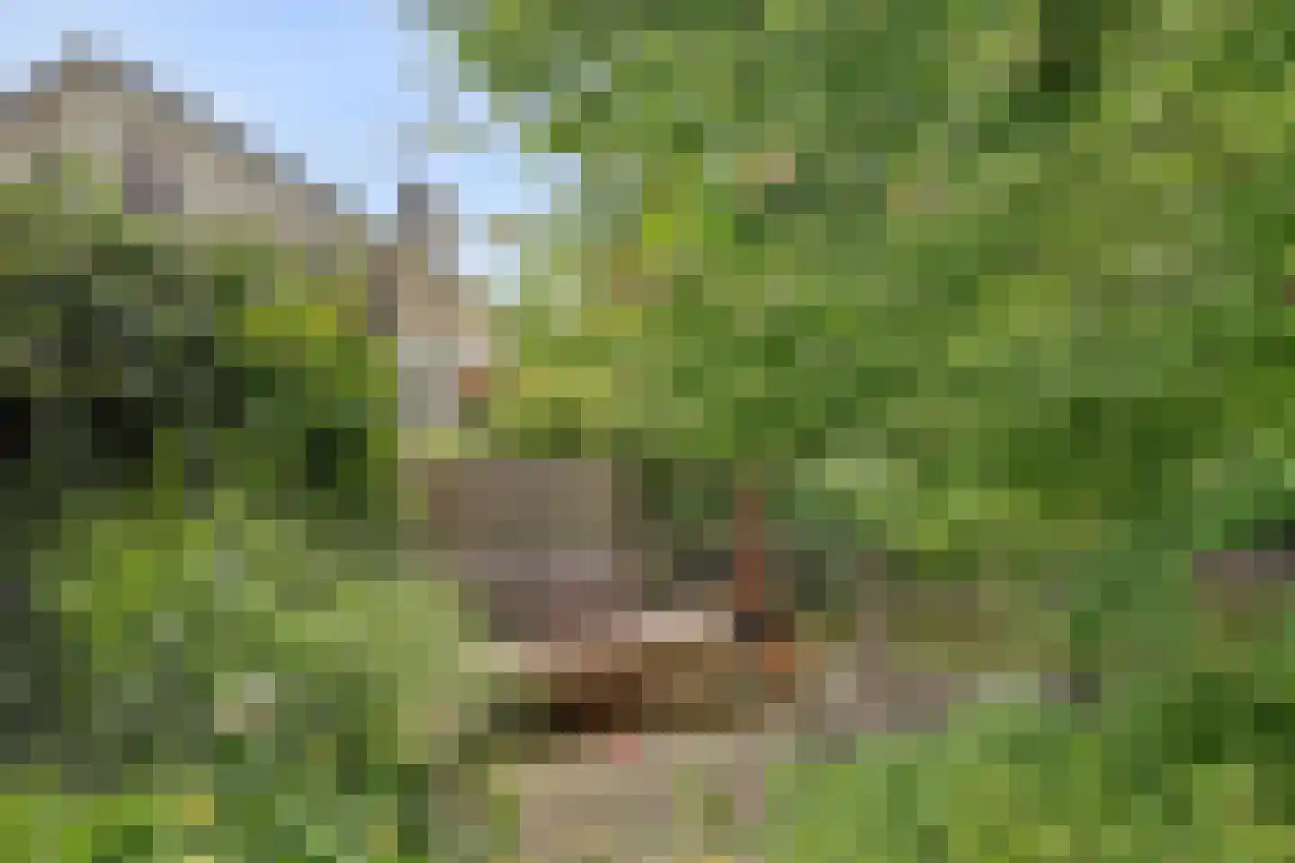 Hopgaarde 8 Gouda thumbnail 48