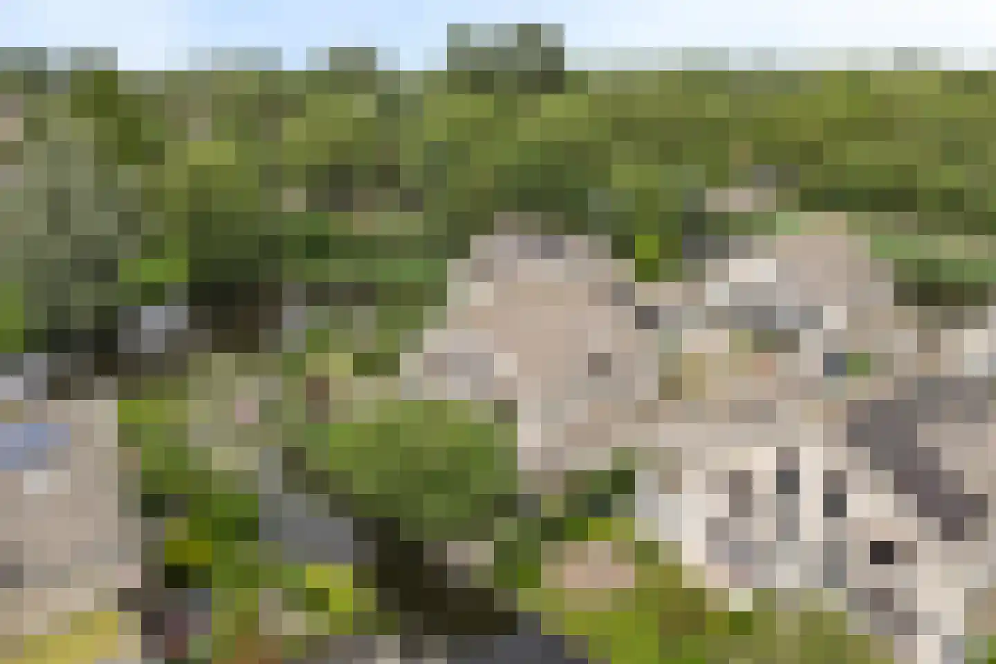 Hopgaarde 8 Gouda thumbnail 57