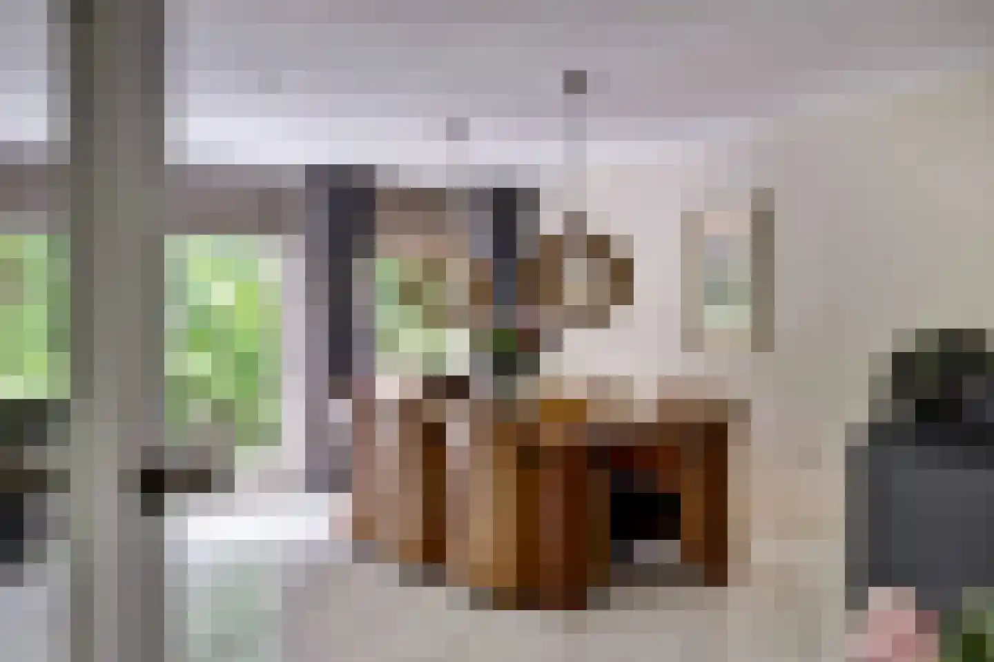 Hopgaarde 8 Gouda thumbnail 8