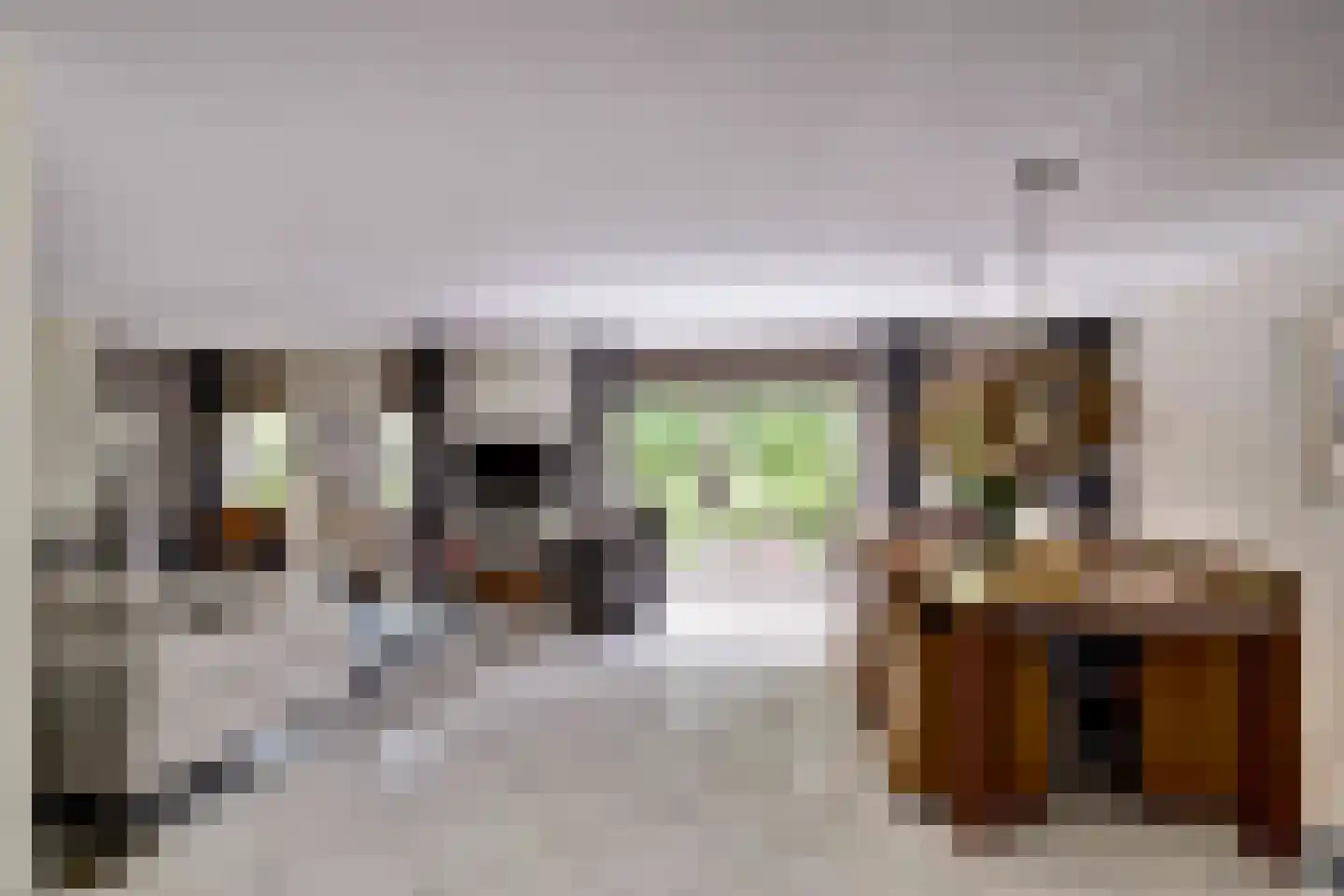 Hopgaarde 8 Gouda thumbnail 9