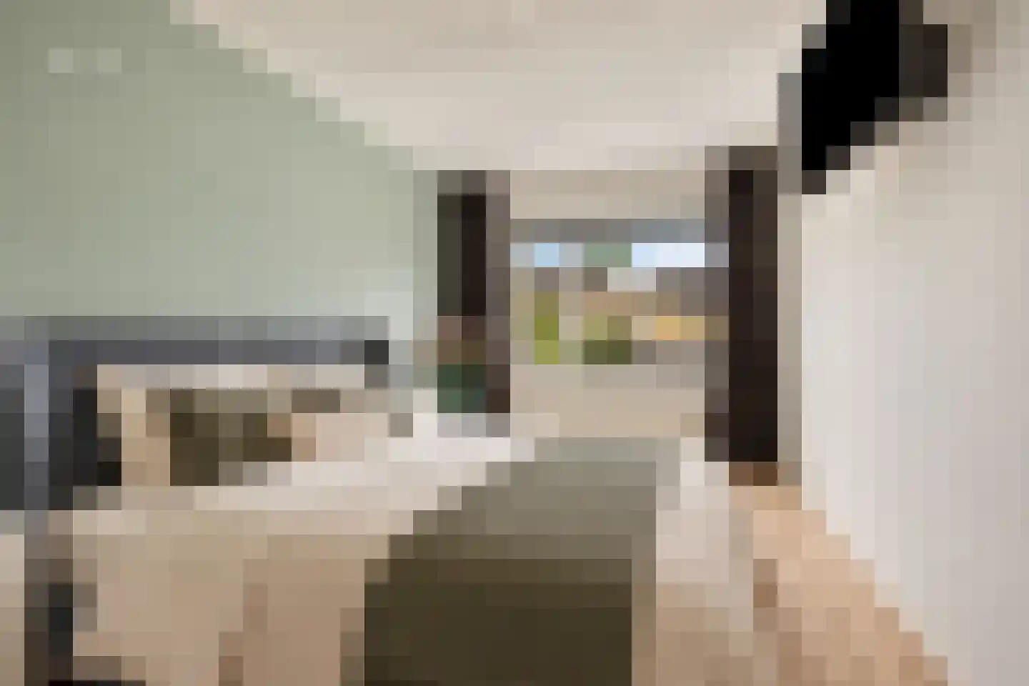 Hophullen 39 Assen thumbnail 17