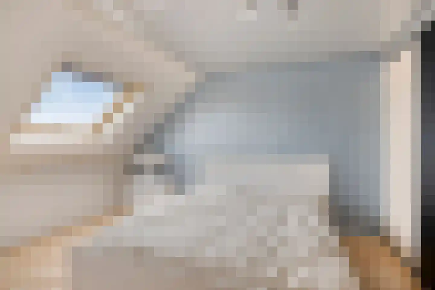 Hophullen 39 Assen thumbnail 25