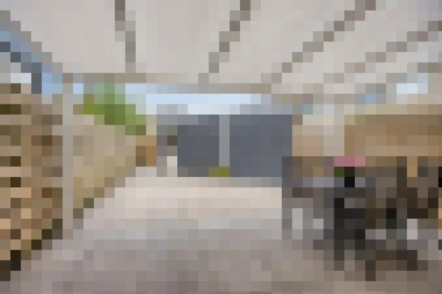 Hophullen 39 Assen thumbnail 27