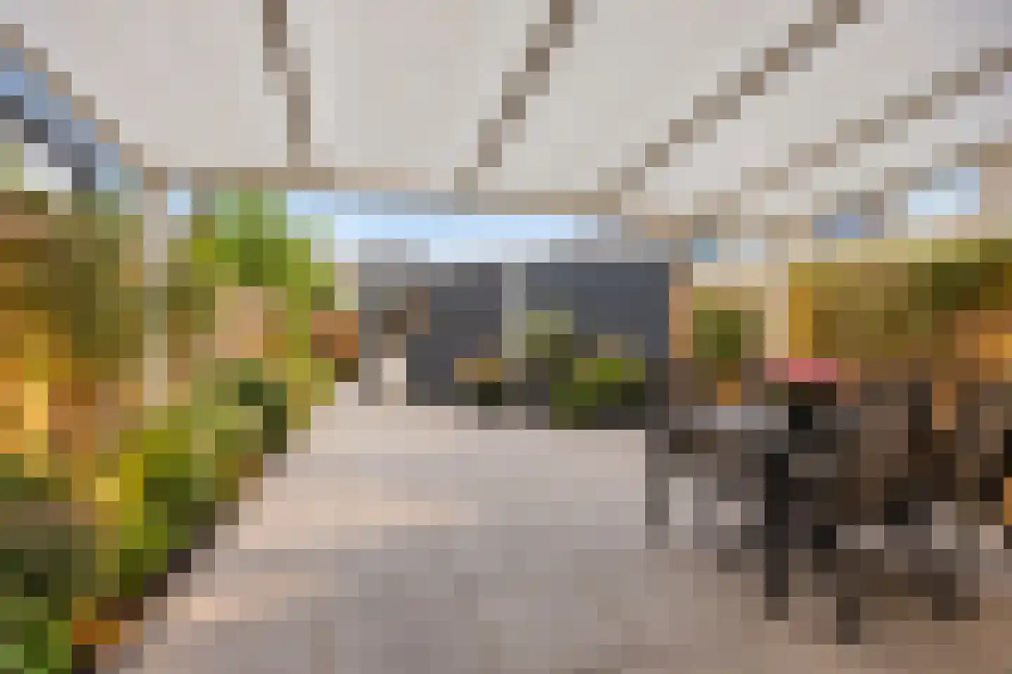 Hophullen 39 Assen thumbnail 30