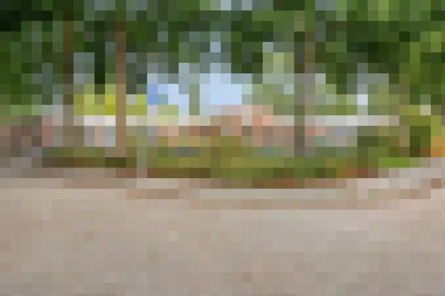 Hophullen 39 Assen thumbnail 32