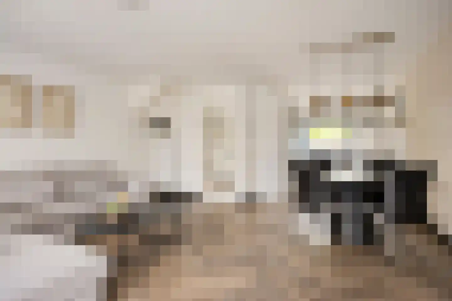 Hophullen 39 Assen thumbnail 6