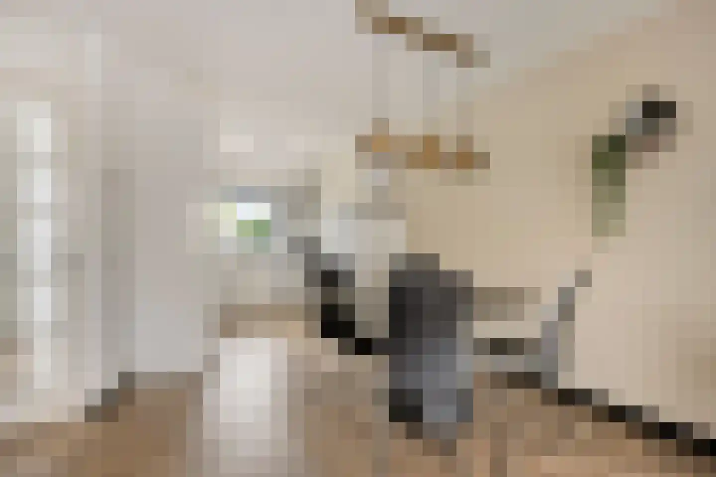 Hophullen 39 Assen thumbnail 7