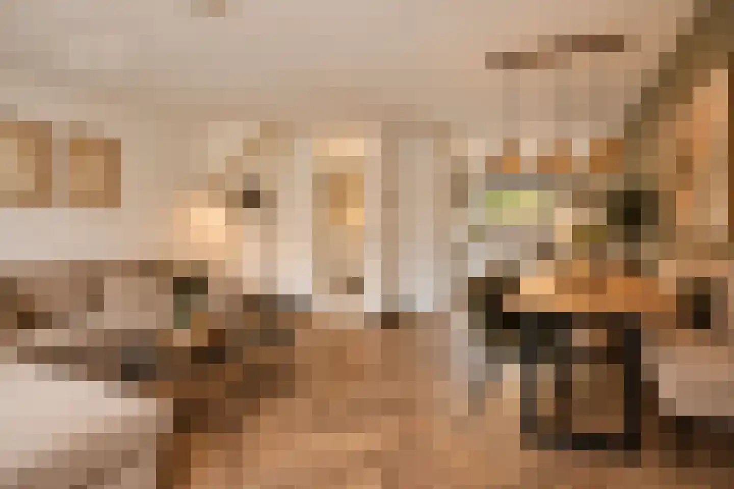 Hophullen 39 Assen thumbnail 7