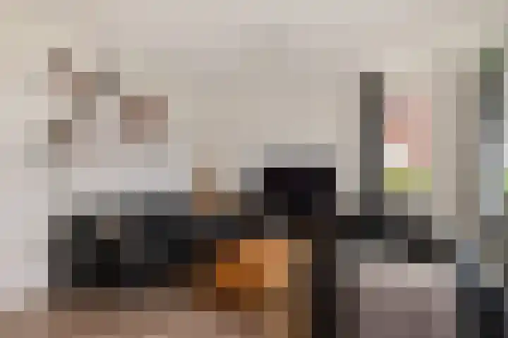 Hopklaver 12 Coevorden thumbnail 10