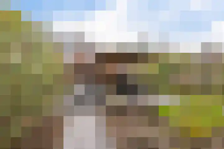 Hopklaver 12 Coevorden thumbnail 32