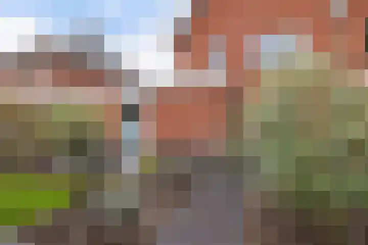 Hopklaver 12 Coevorden thumbnail 35