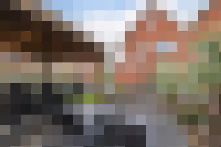 Hopklaver 12 Coevorden thumbnail 36