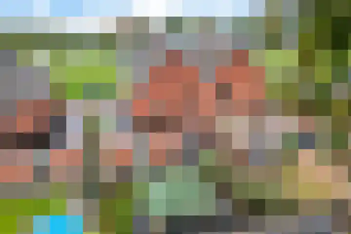 Hopklaver 12 Coevorden thumbnail 38