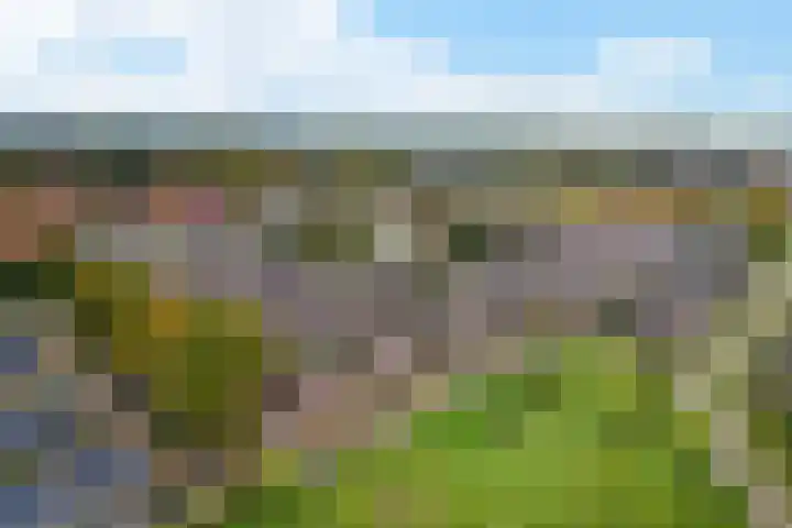 Hopklaver 12 Coevorden thumbnail 4