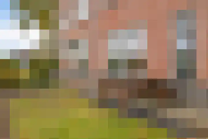 Hopklaver 12 Coevorden thumbnail 5