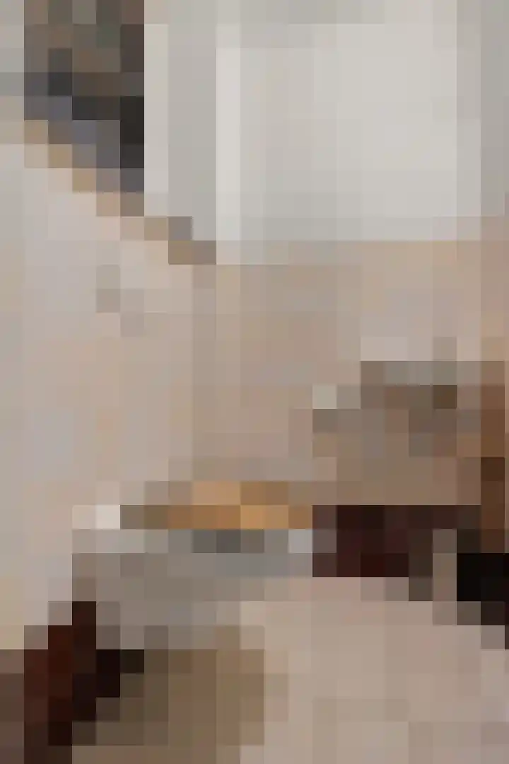 Hopklaver 12 Coevorden thumbnail 8