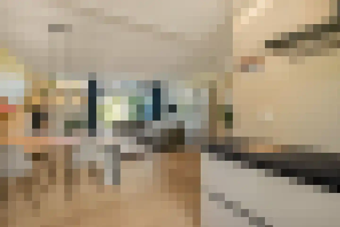 Hopklaver 14 Rotterdam thumbnail 11