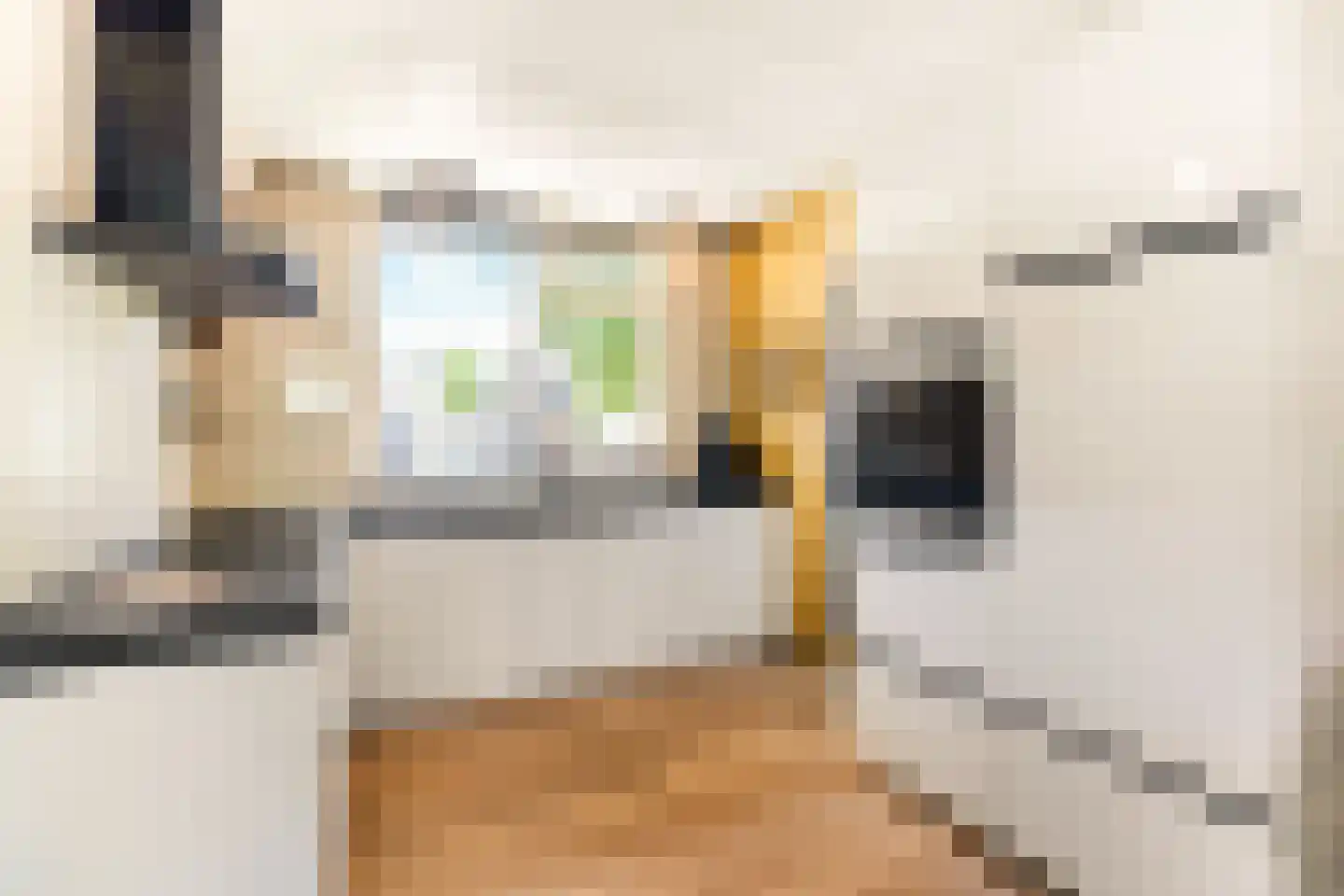 Hopklaver 14 Rotterdam thumbnail 13