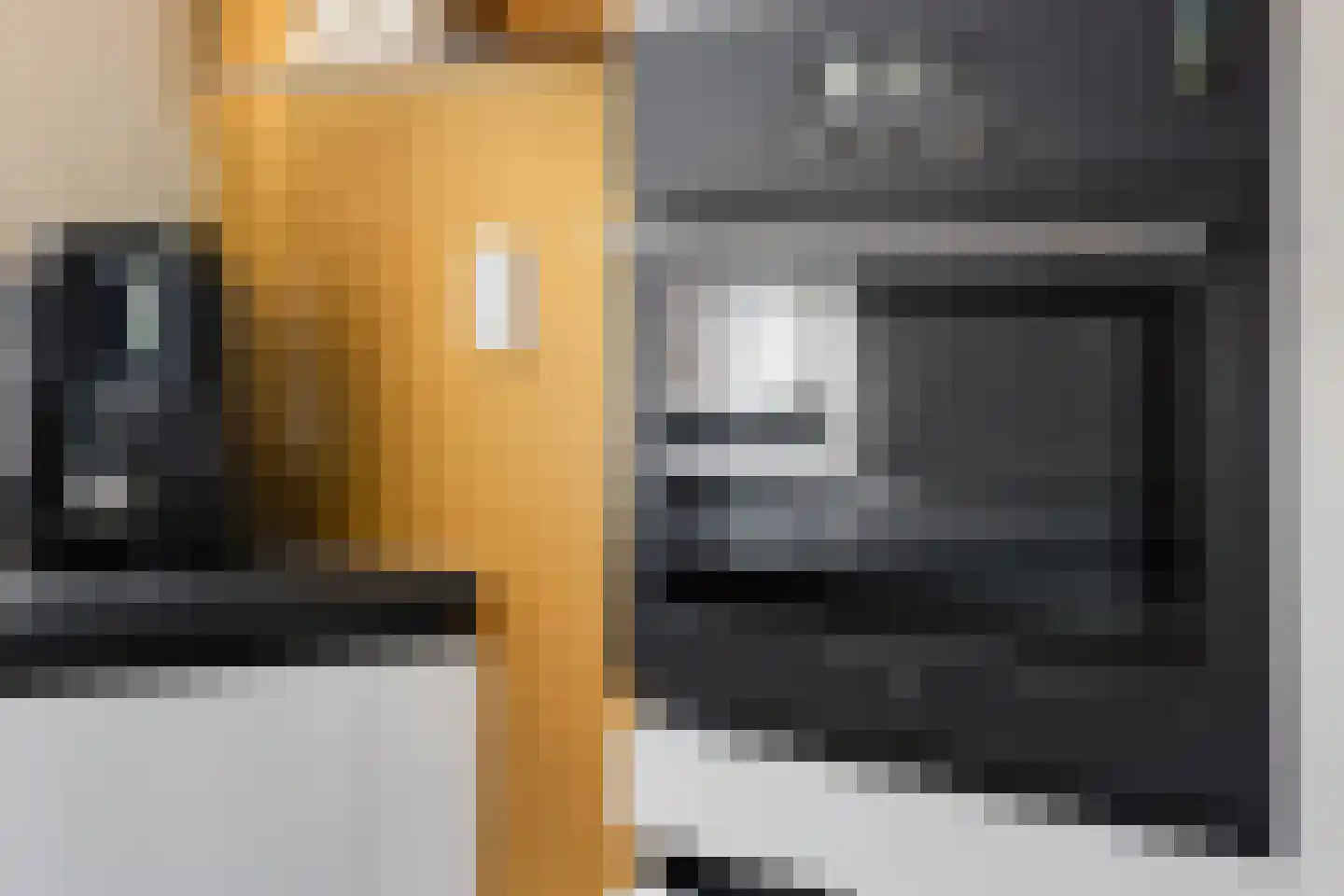 Hopklaver 14 Rotterdam thumbnail 14