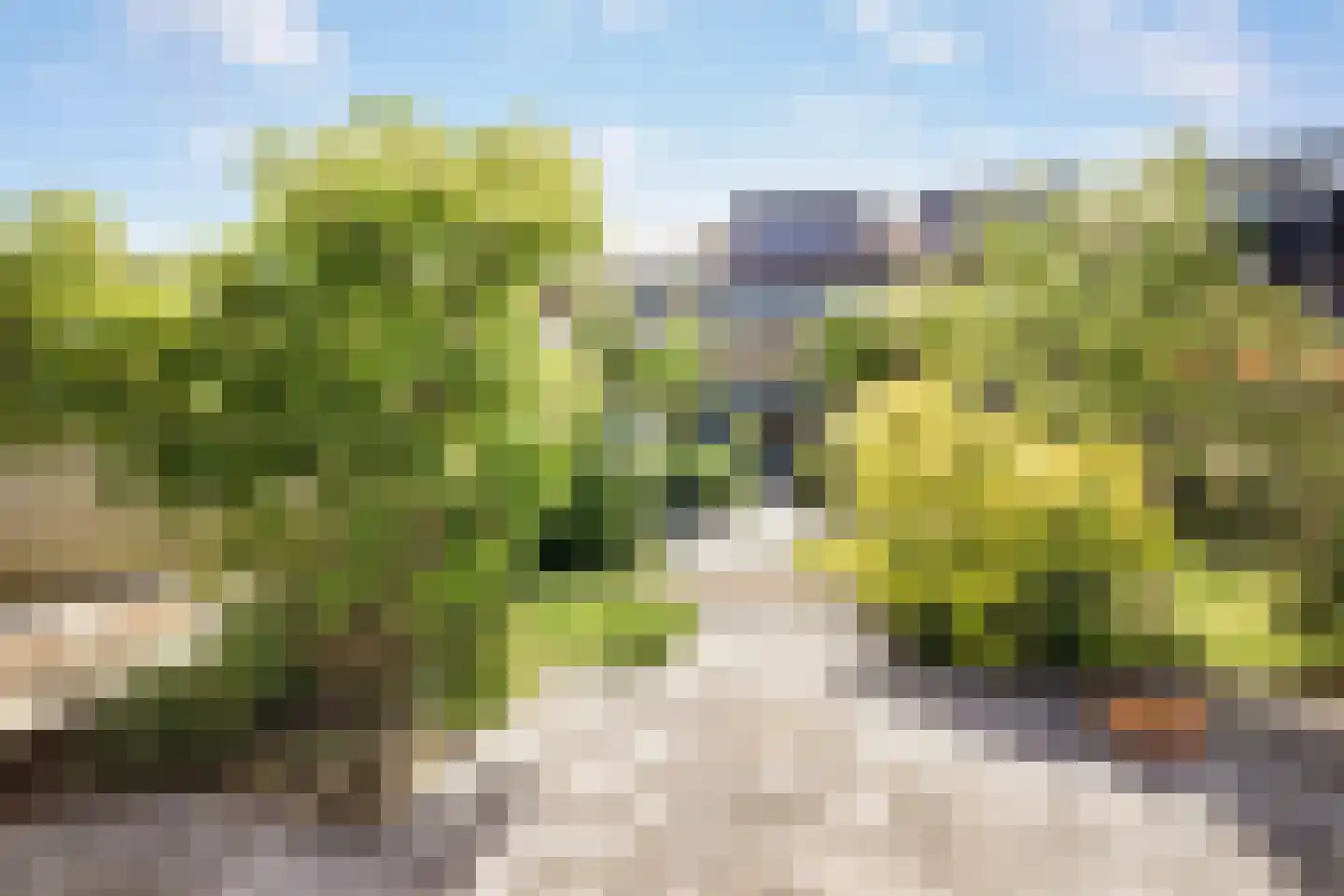 Hopklaver 14 Rotterdam thumbnail 18