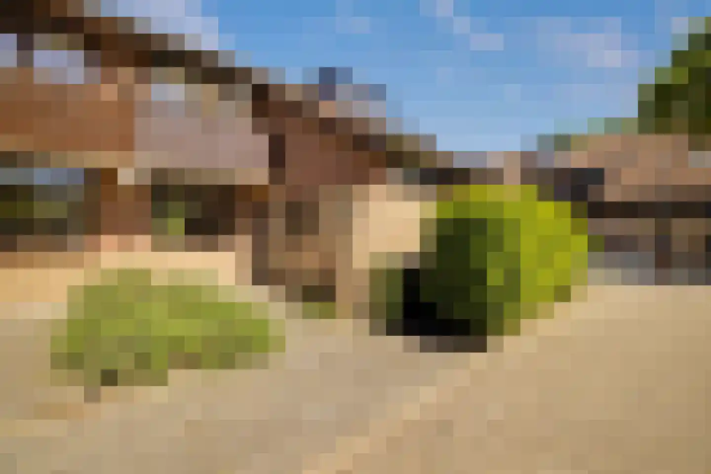 Hopklaver 14 Rotterdam thumbnail 36