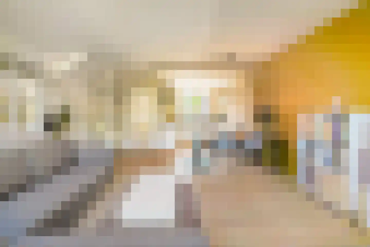 Hopklaver 14 Rotterdam thumbnail 5
