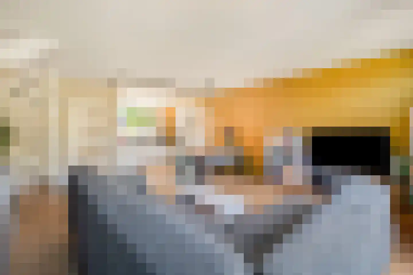 Hopklaver 14 Rotterdam thumbnail 7