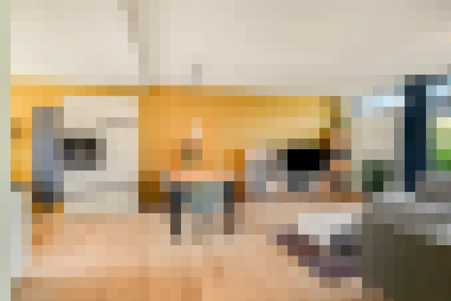 Hopklaver 14 Rotterdam thumbnail 8