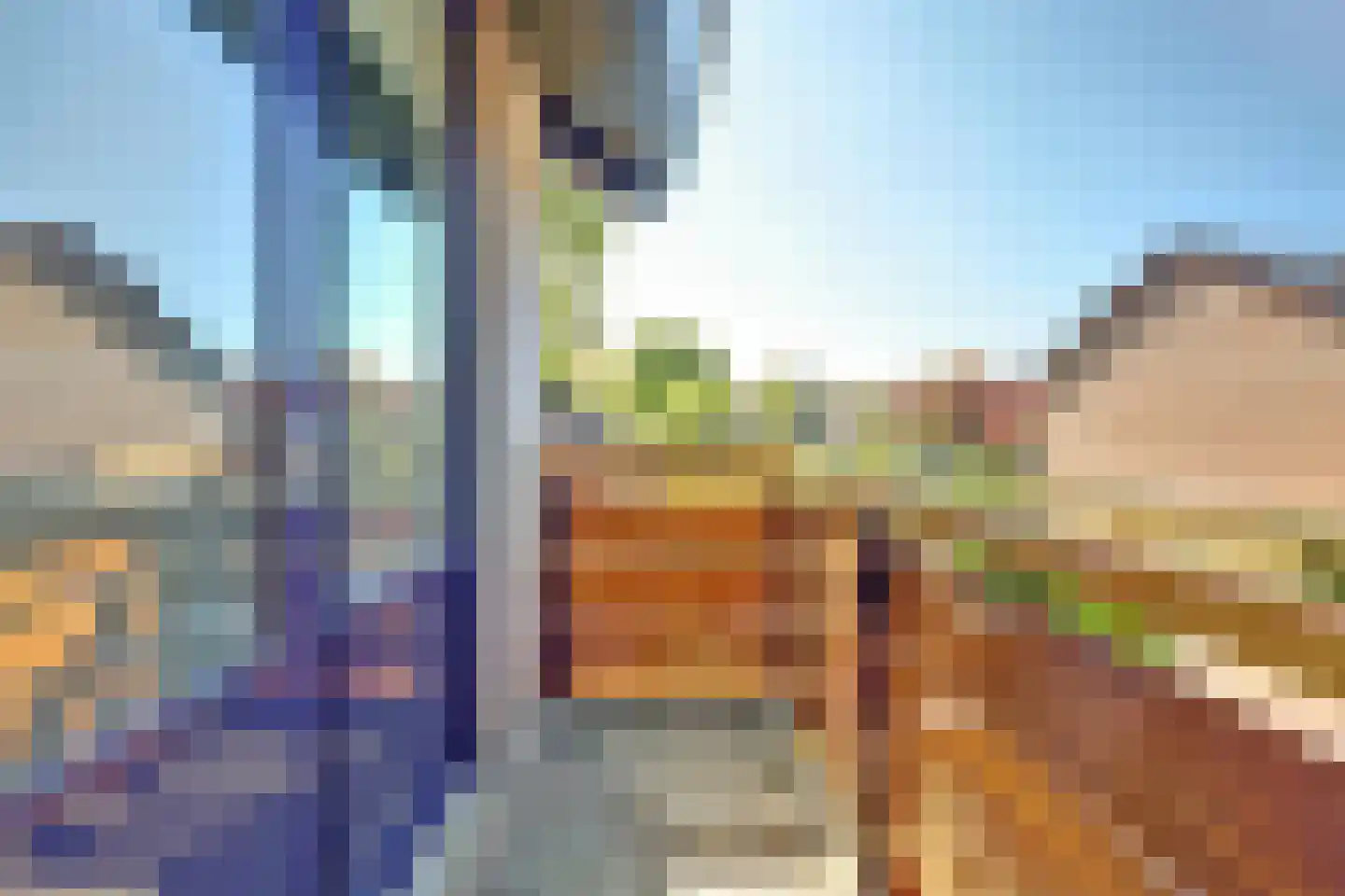 Hopklaver 31 Rotterdam thumbnail 21