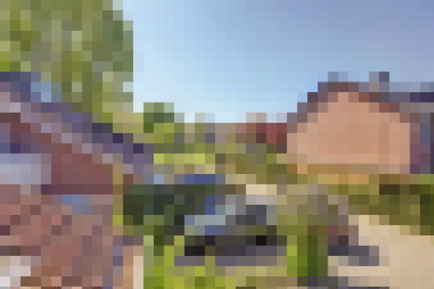 Hopklaver 31 Rotterdam thumbnail 22