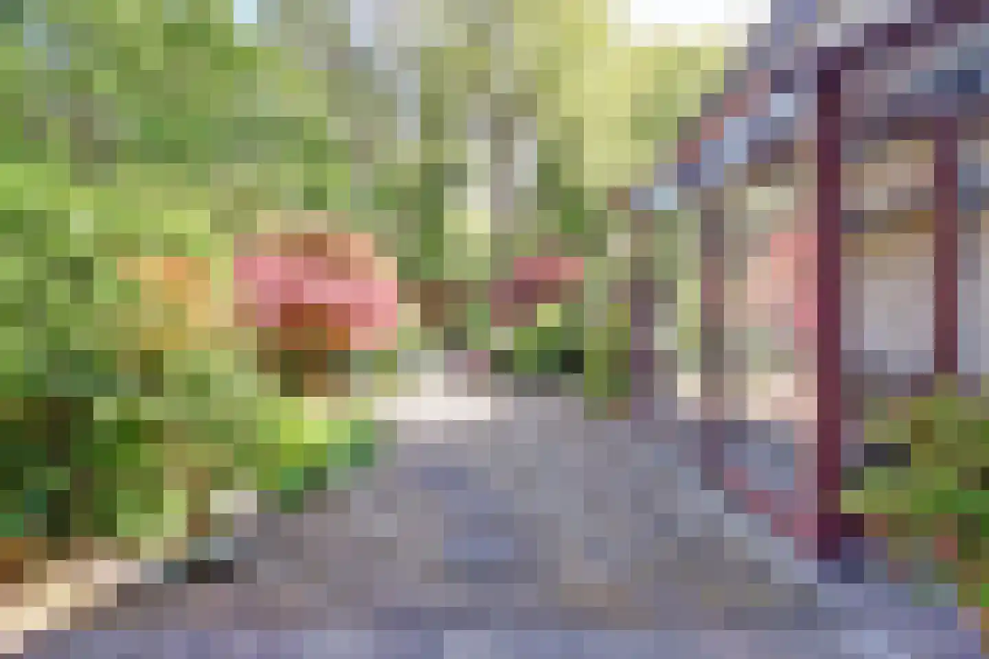 Hopklaver 31 Rotterdam thumbnail 28