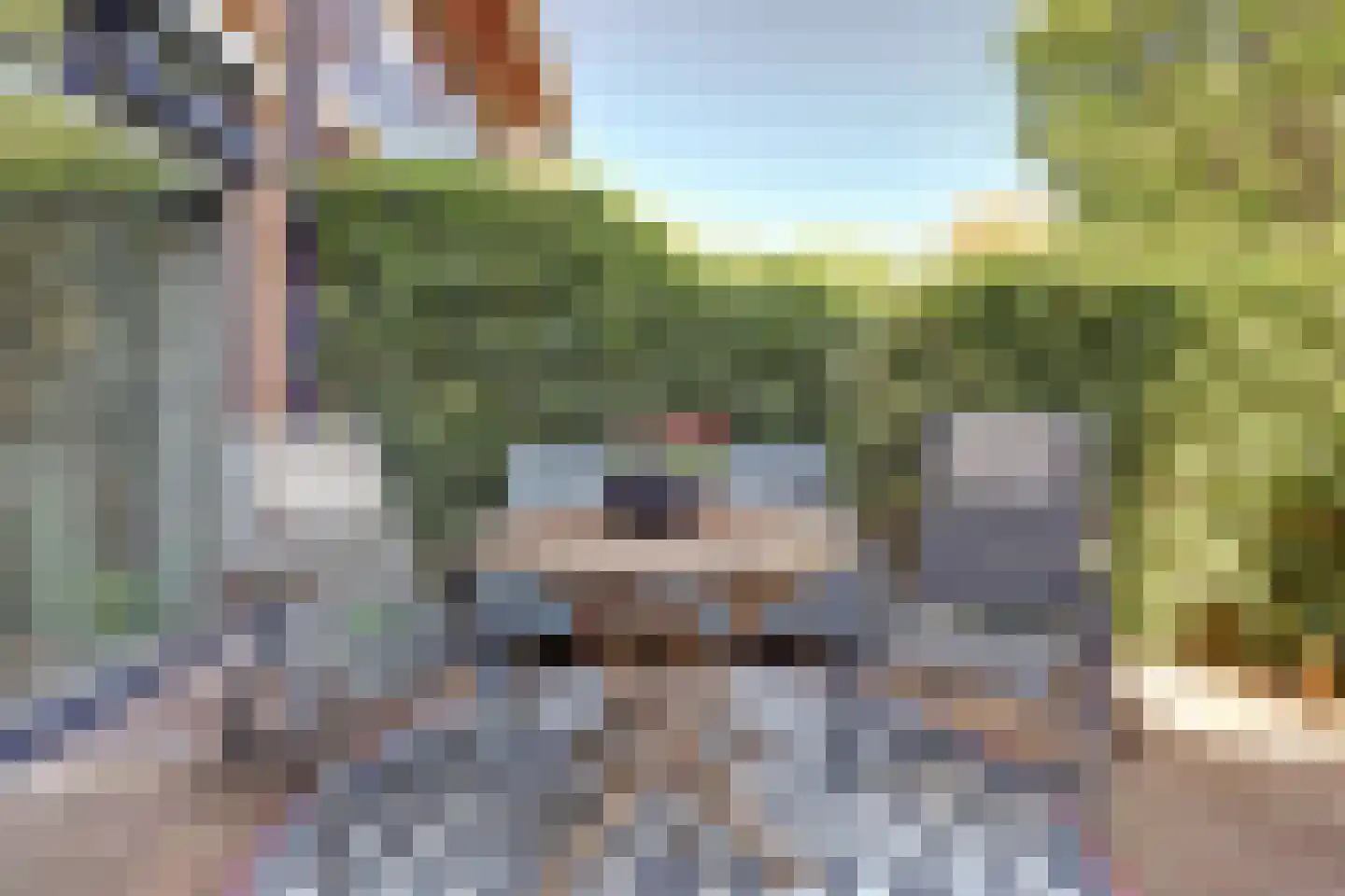 Hopklaver 31 Rotterdam thumbnail 30