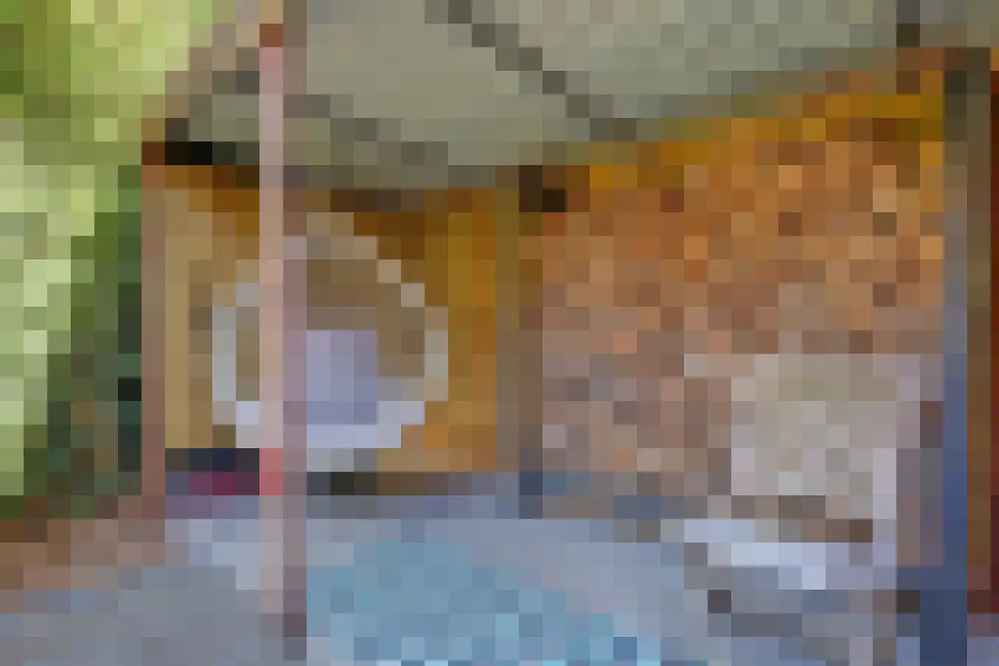 Hopklaver 31 Rotterdam thumbnail 31